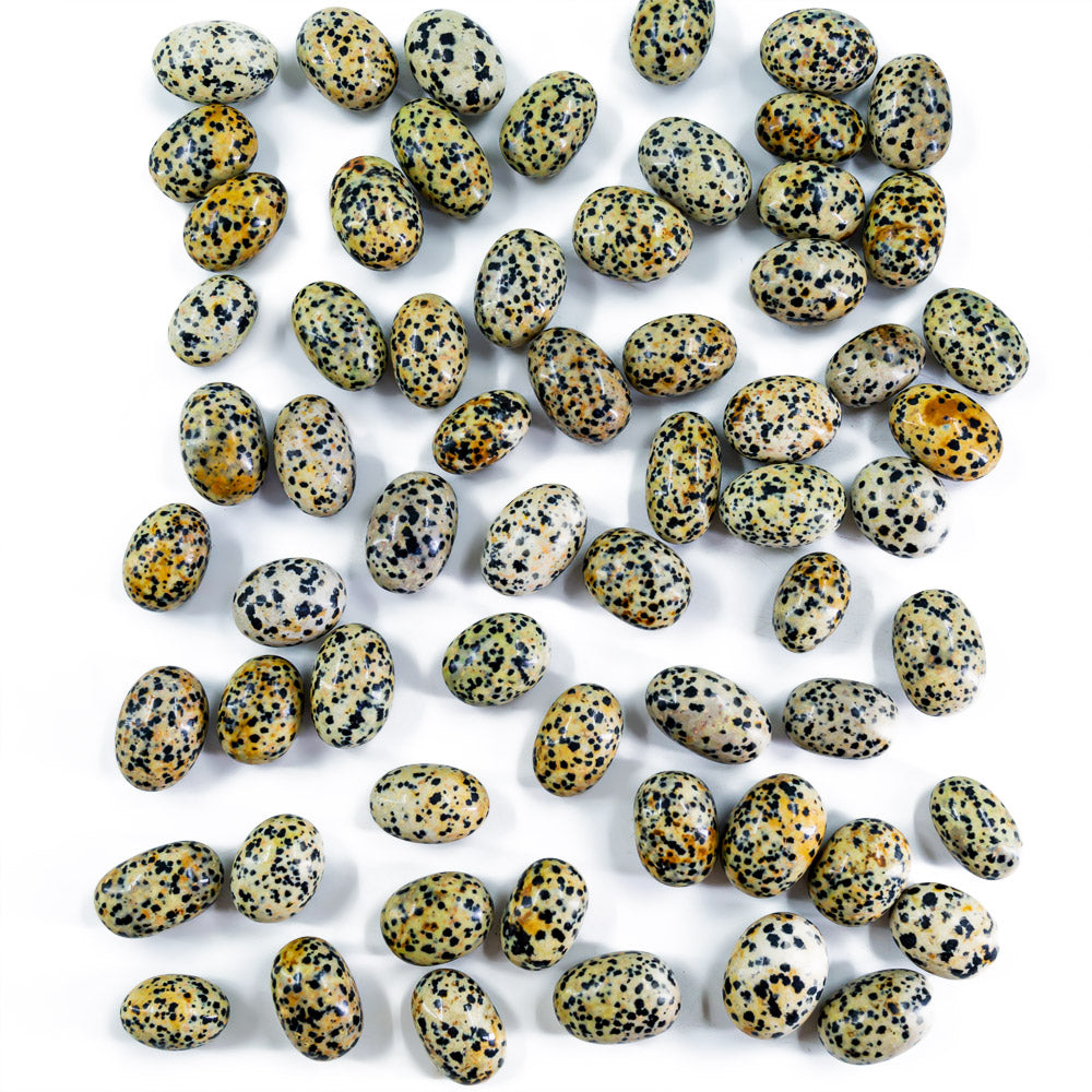 Dalmation Jasper Tumble Stones