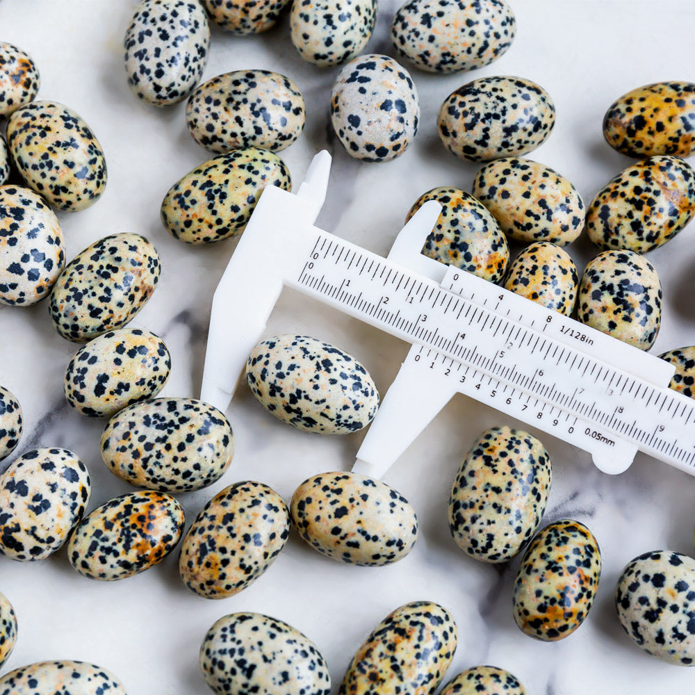 Dalmation Jasper Tumble Stones