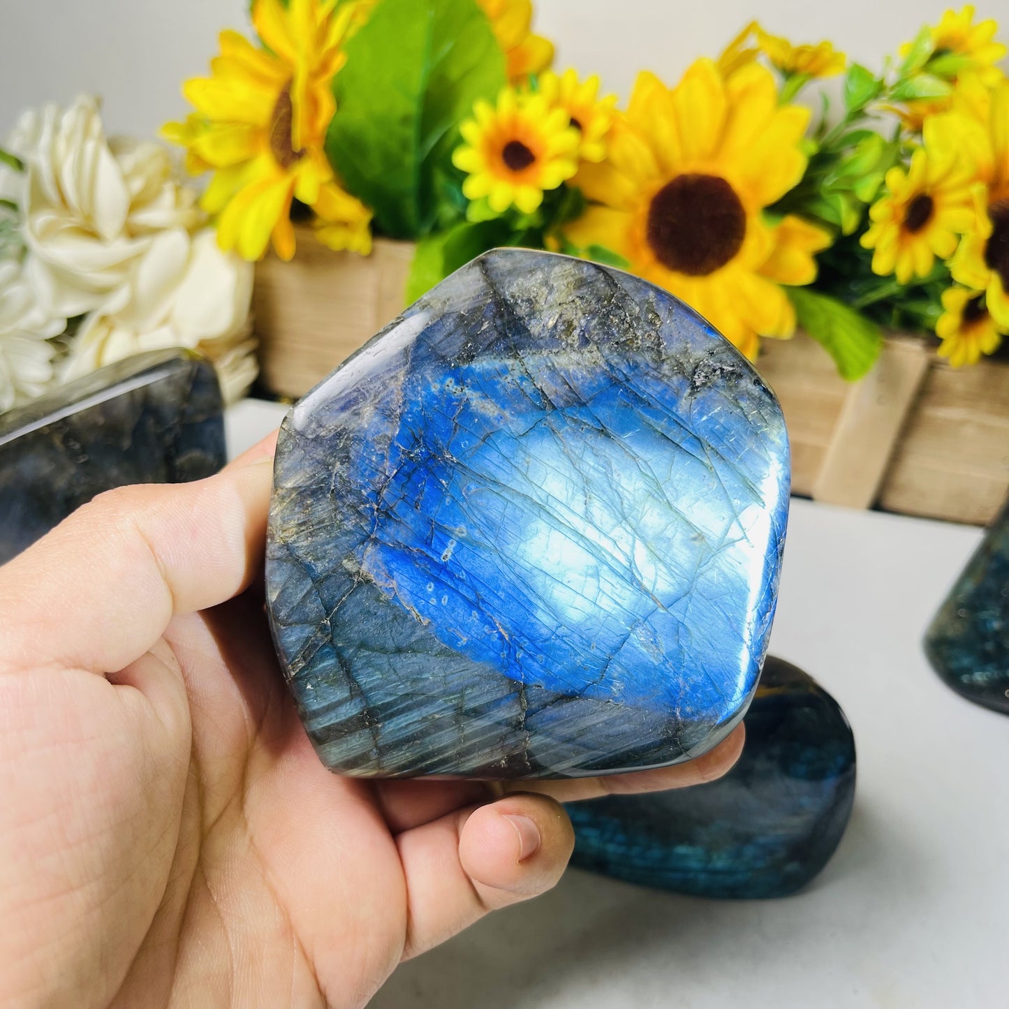 Strong Blue Flash Labradorite Ornaments