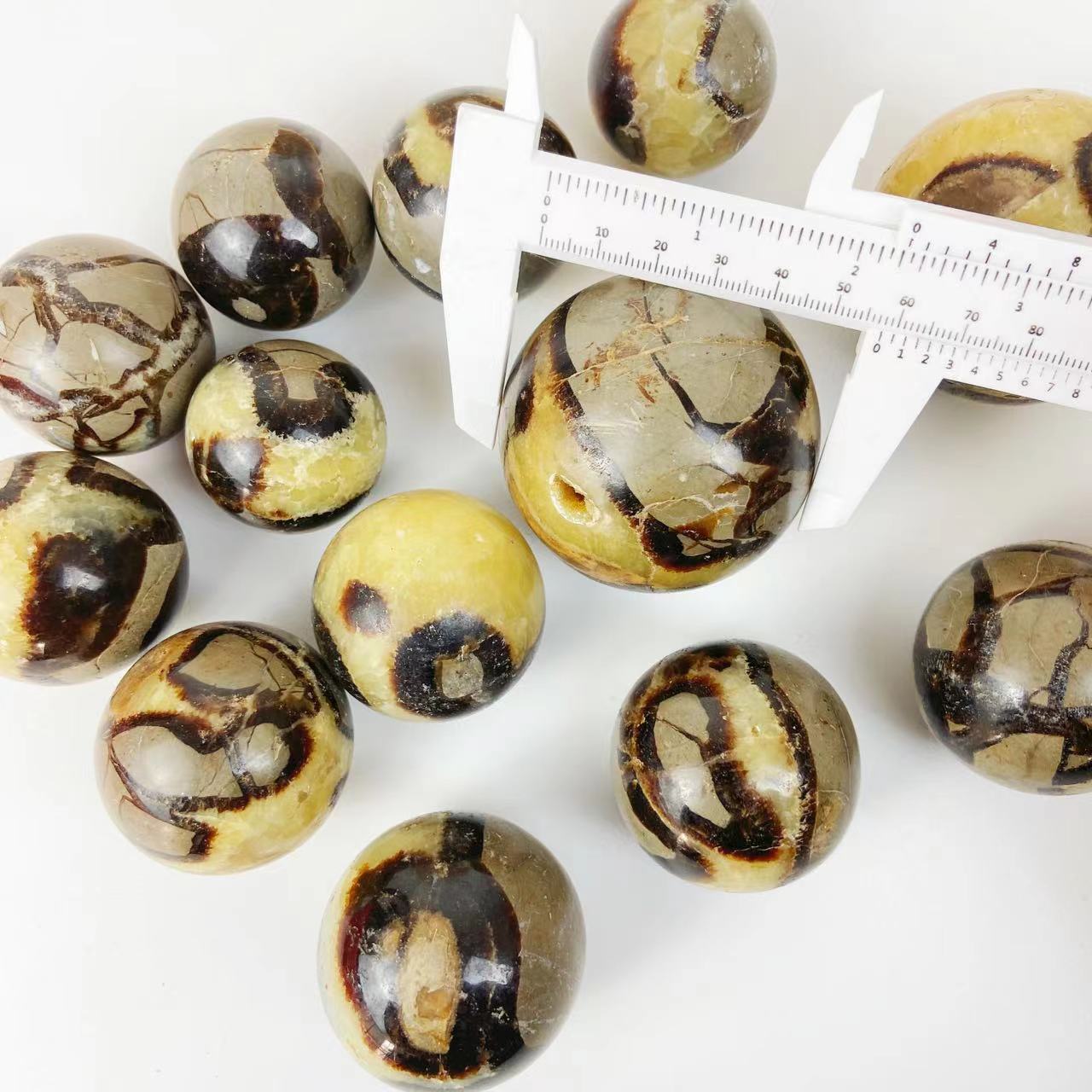 Septarian Spheres