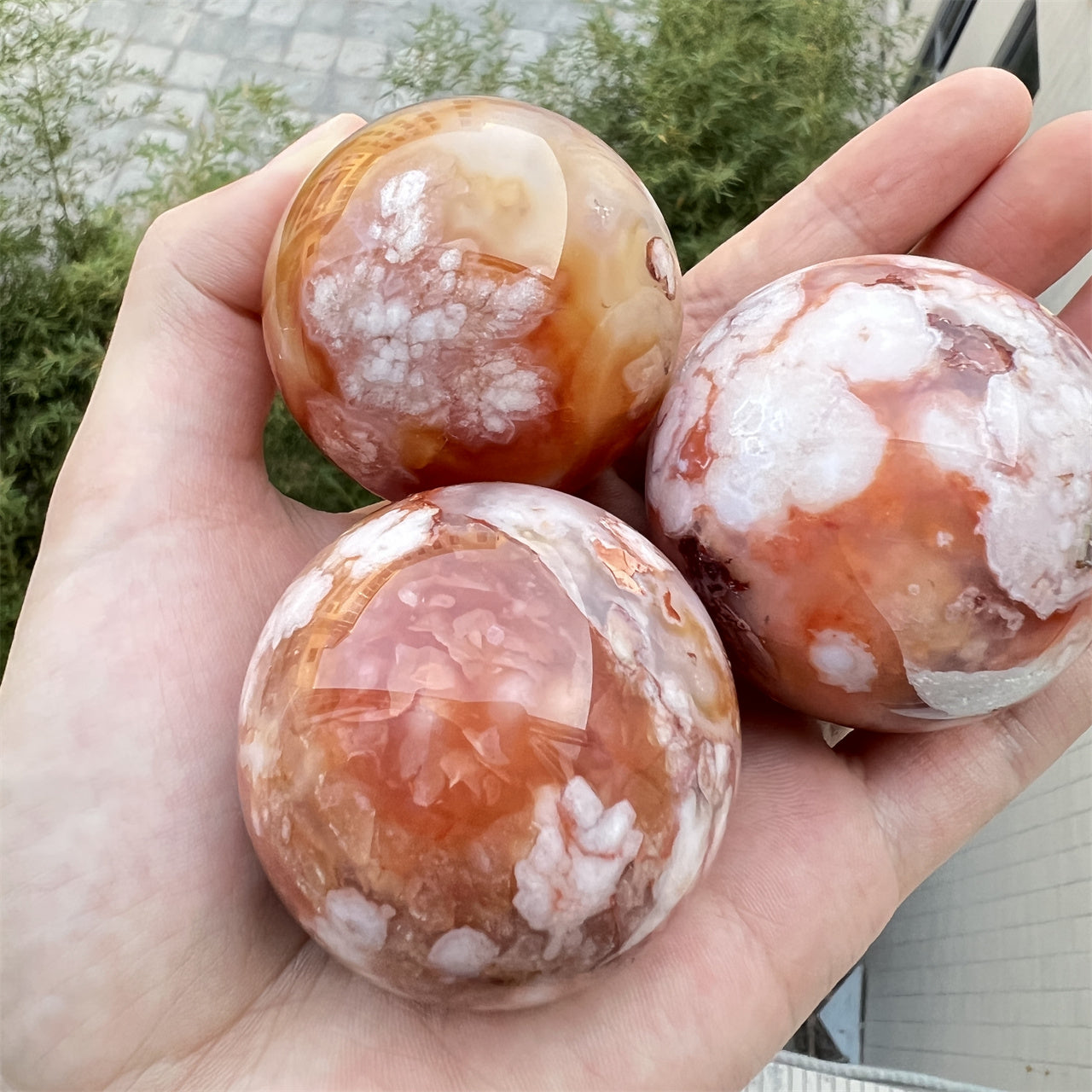 Red Sakura Flower Agate Spheres