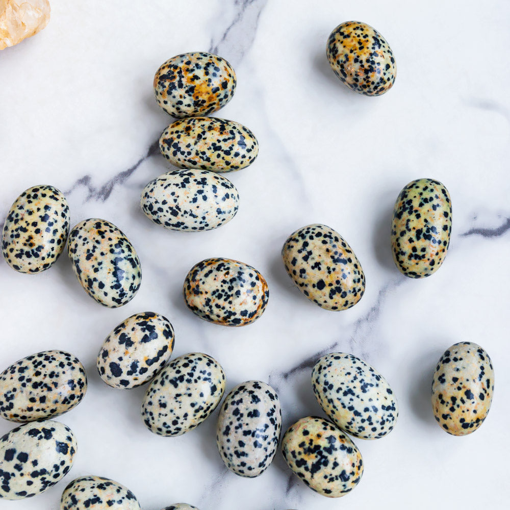 Dalmation Jasper Tumble Stones