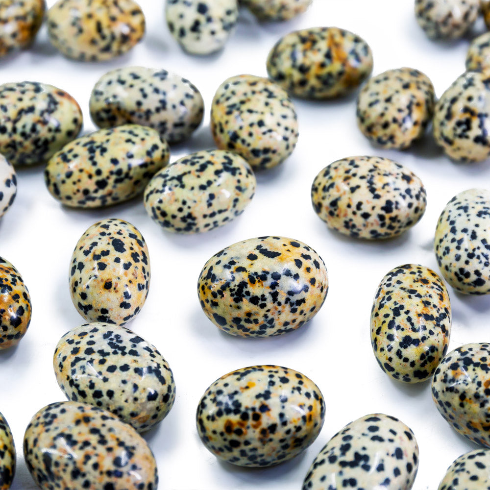 Dalmation Jasper Tumble Stones