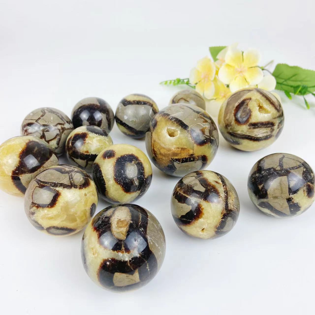 Septarian Spheres