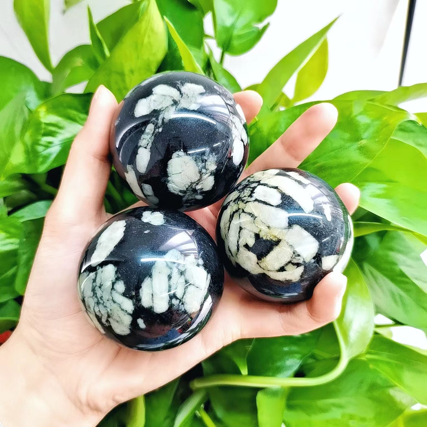 Peony Stone Spheres