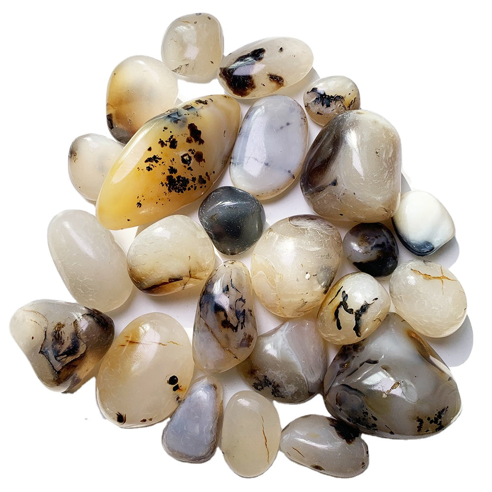 Dendritic Agate Tumble Stones