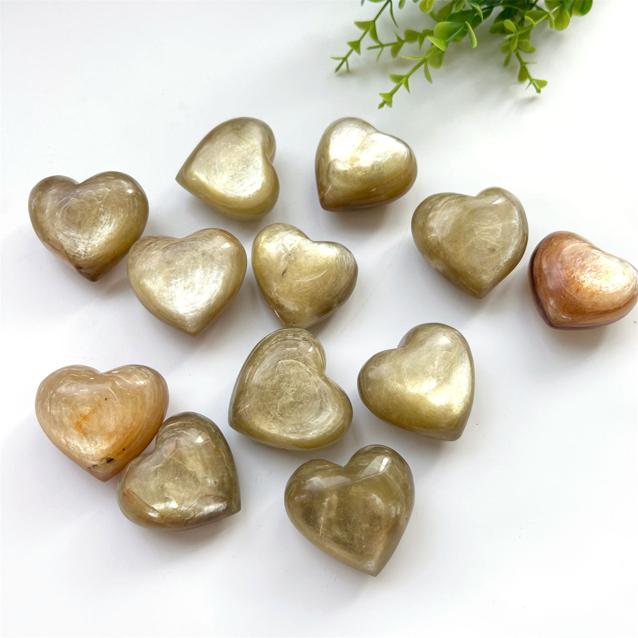 Golden Mica Lepidolite Small Hearts