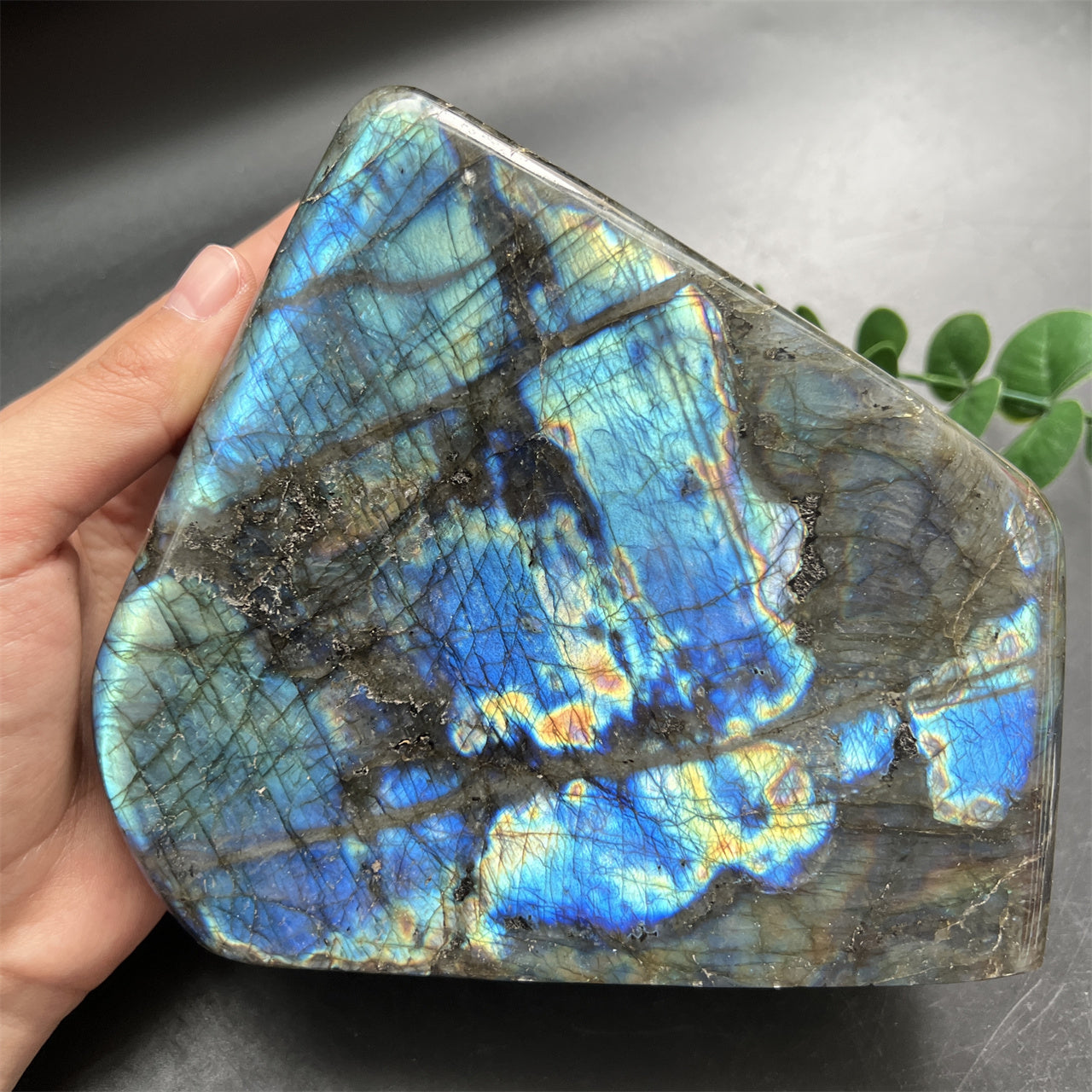 Blue Flash Labradorite Ornaments