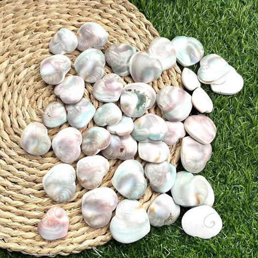 Sun Shell Stone Hearts