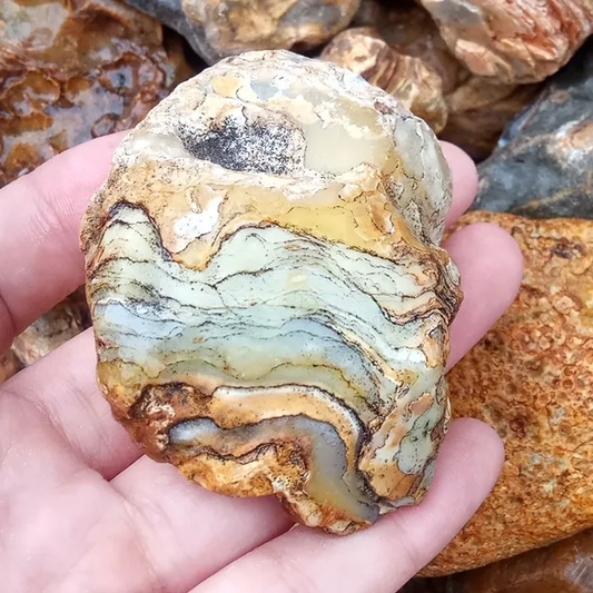 Crazy Lace Agate Specimen