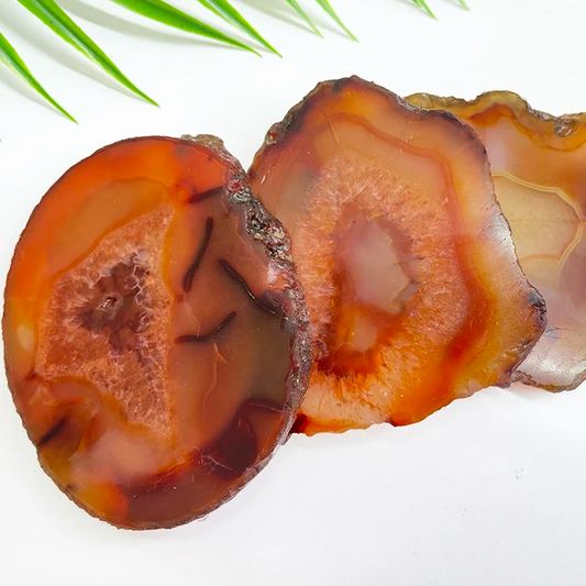 Carnelian Slice Specimen